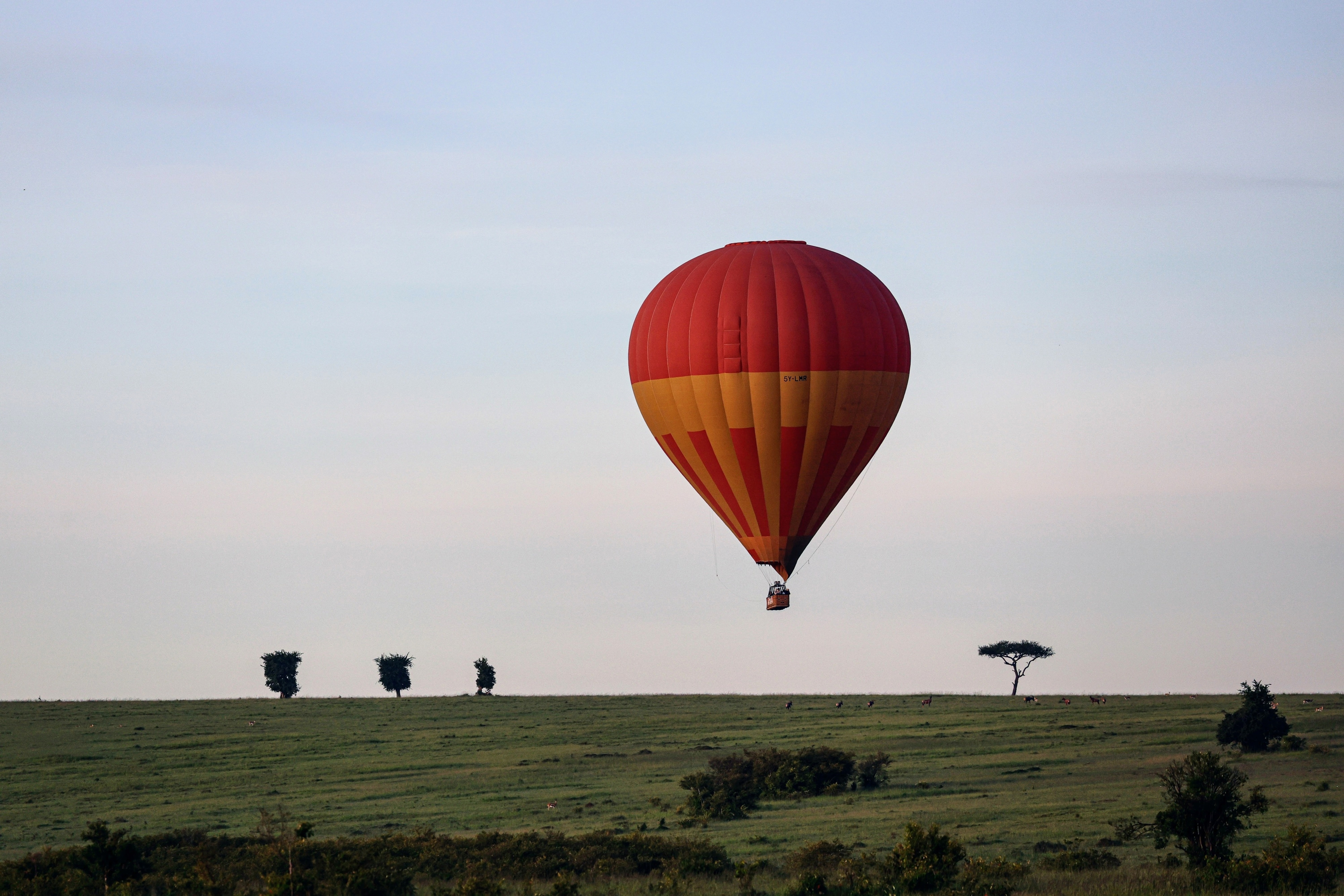 Hot Air balloon safari