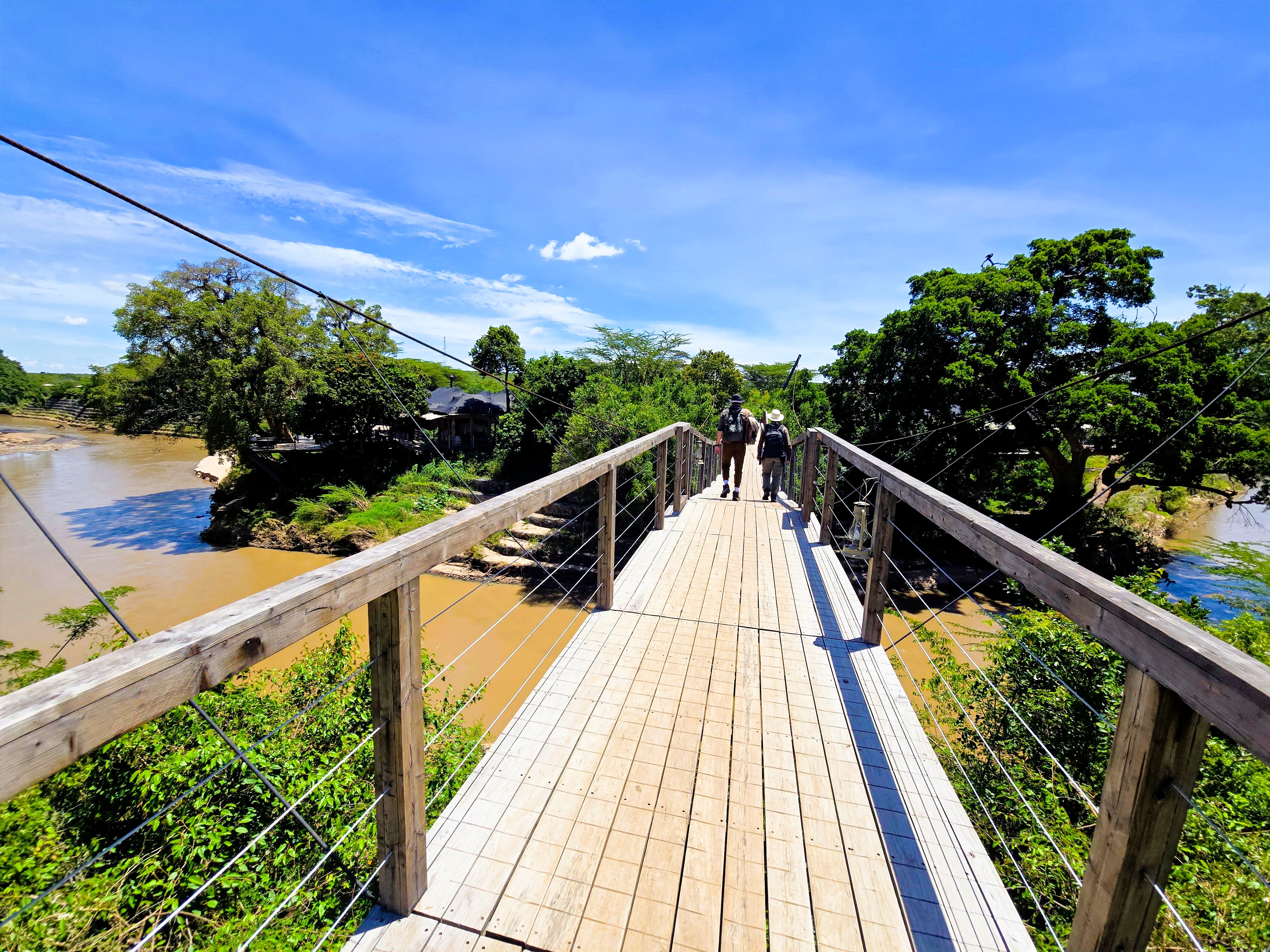 Suspension bridge above crocodiles, hippos, and baboons.