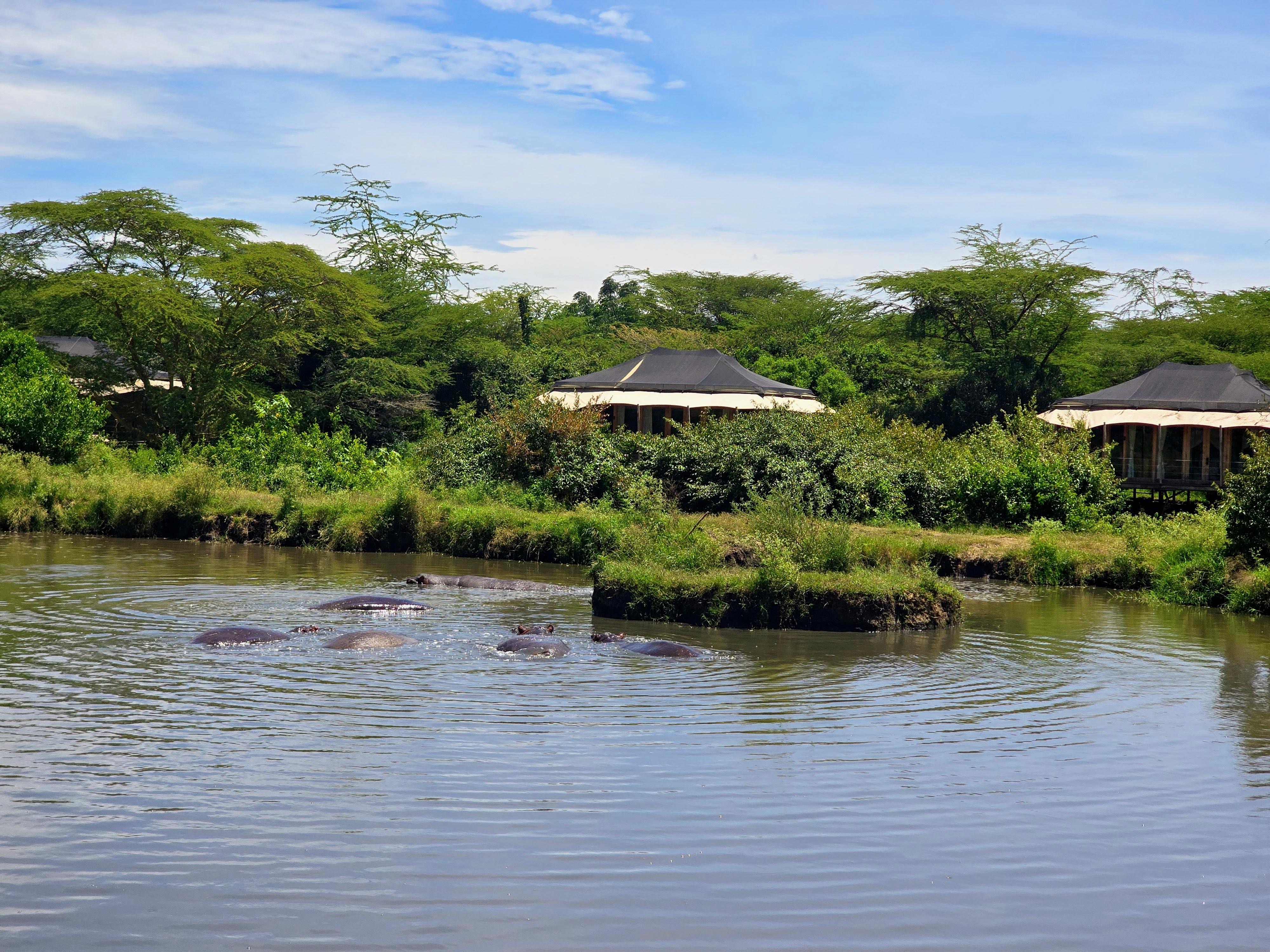 Resort's private hippo pool