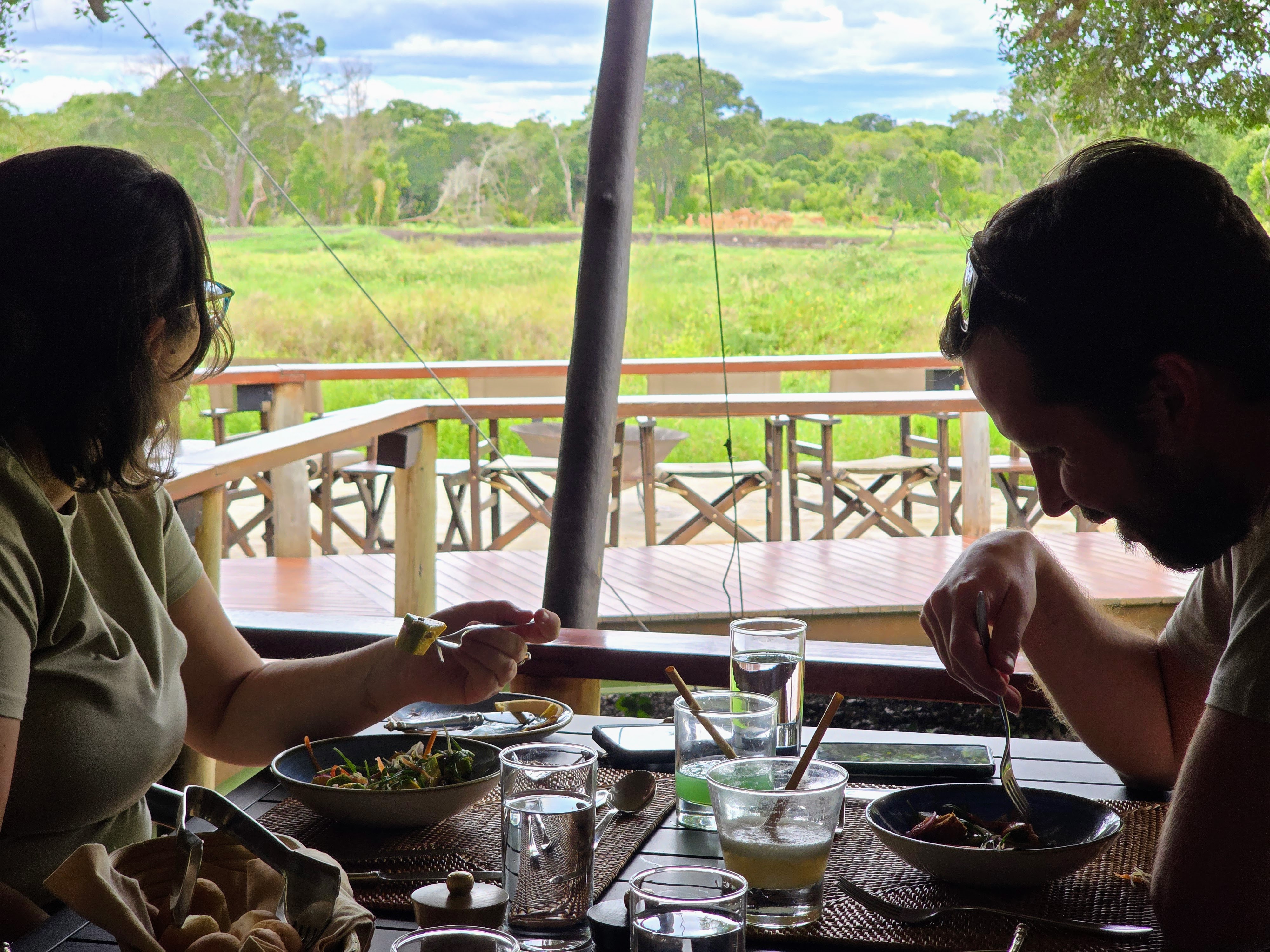 Animal sightings during every meal.