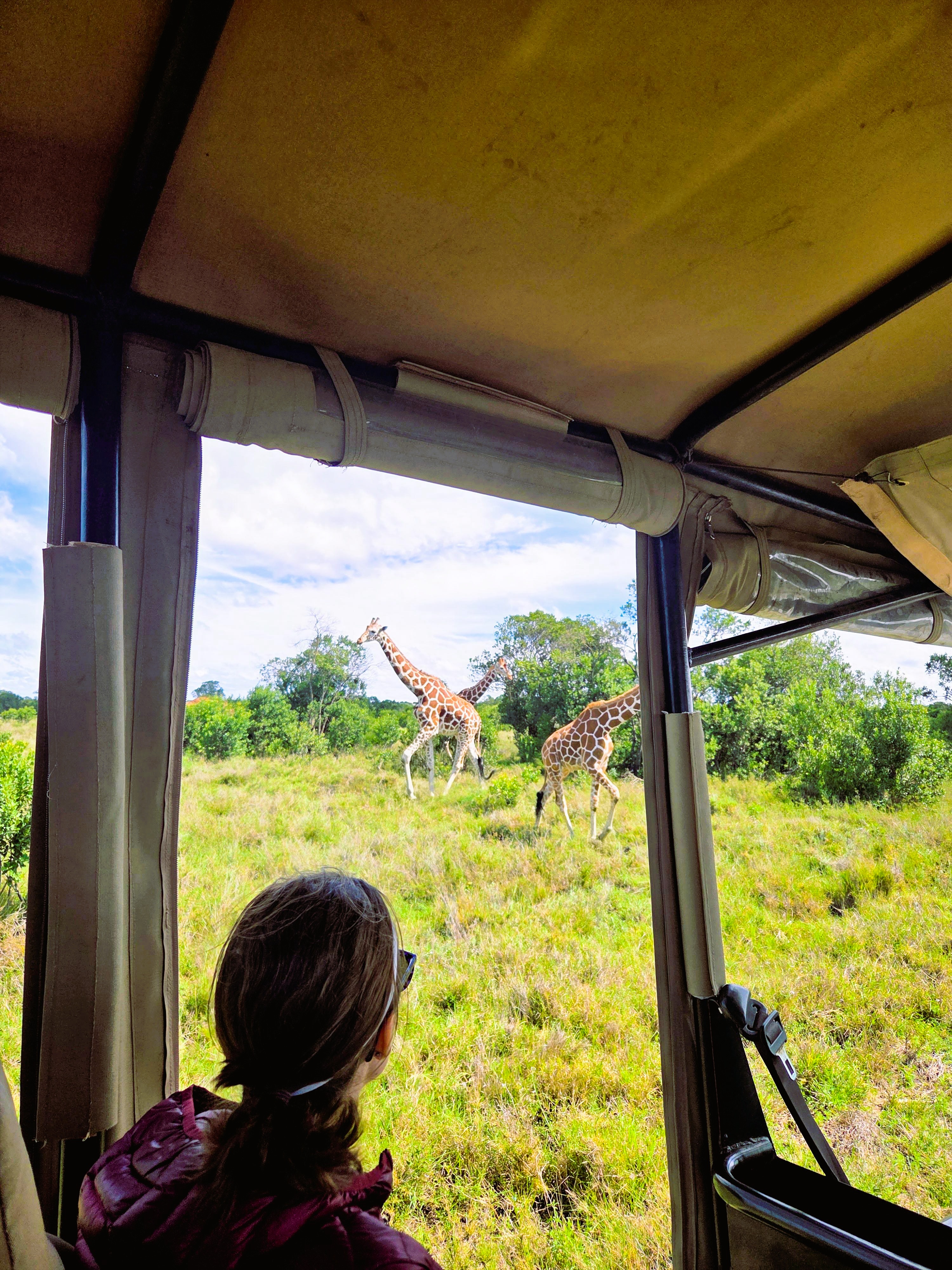 No other safari cars around, just you and the wildlife.