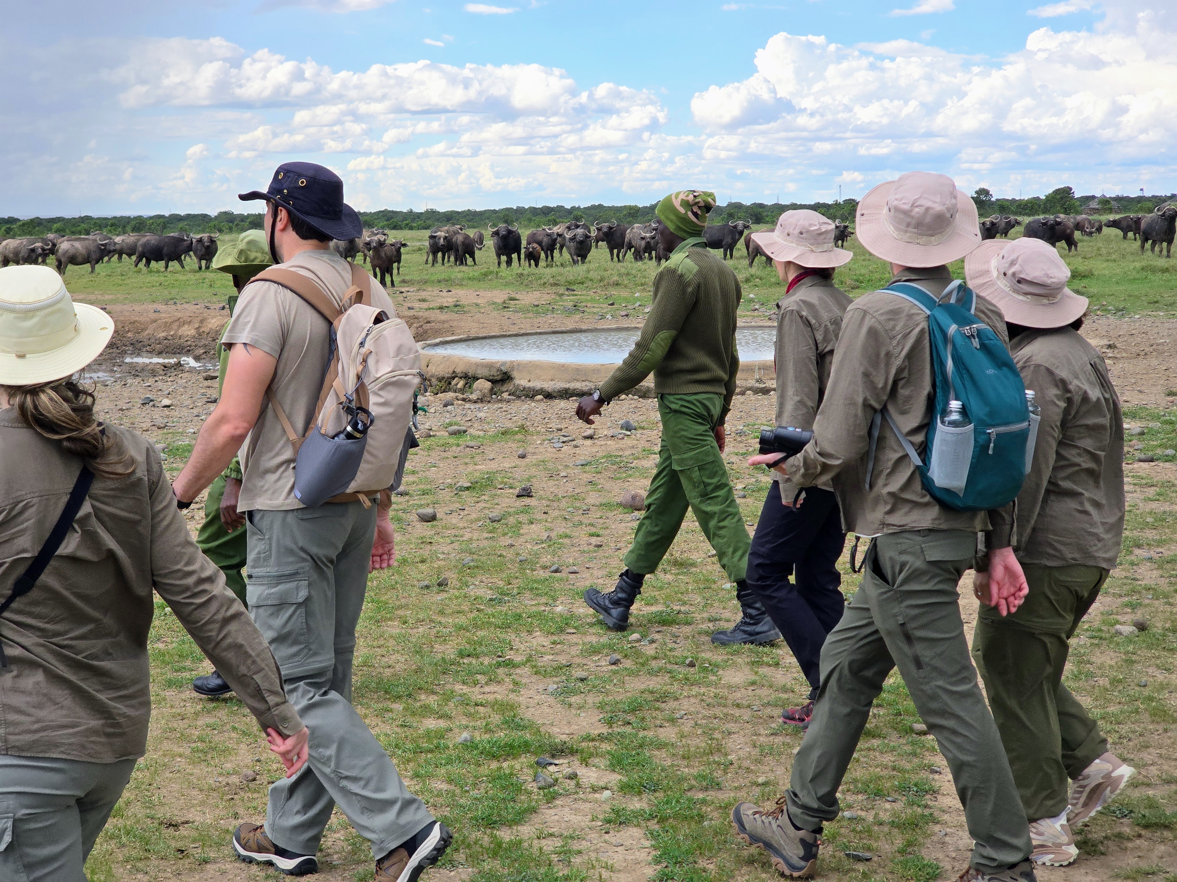 Rhino Tracking Bush walk to remember.