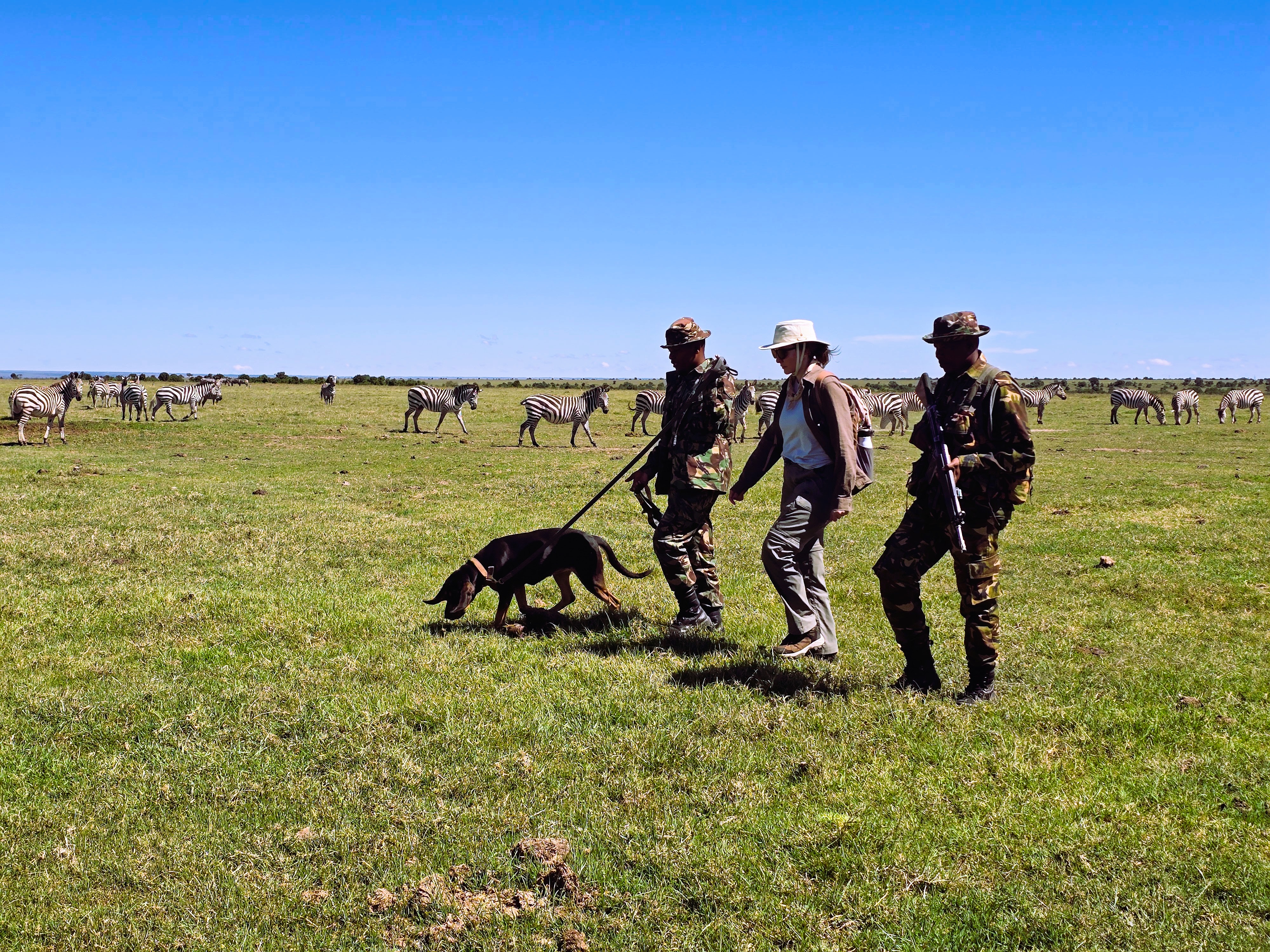 K9 Anti-Poaching along many other sightings.